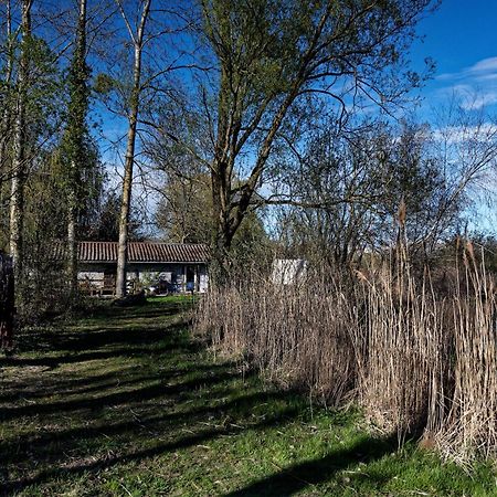 Espace Nature Studio Independant Proche Du Parc Des Oiseaux Sainte-Olive Exterior foto